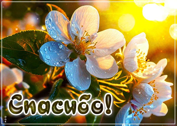 9f9f7c15978b8e3c49c8ae1acc114f62